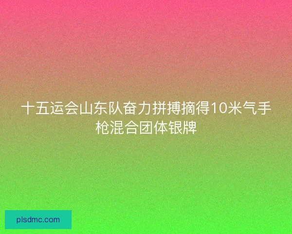 十五运会山东队奋力拼搏摘得10米气手枪混合团体银牌